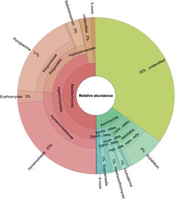 Characterization of the Castanopsis carlesii Deadwood Mycobiome by Pacbio Sequencing of the Full-Length Fungal Nuclear Ribosomal Internal Transcribed Spacer (ITS)